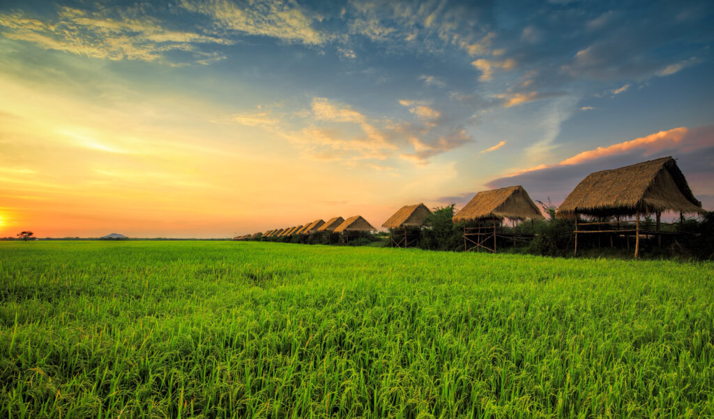 sunset-siem-reap-countryside